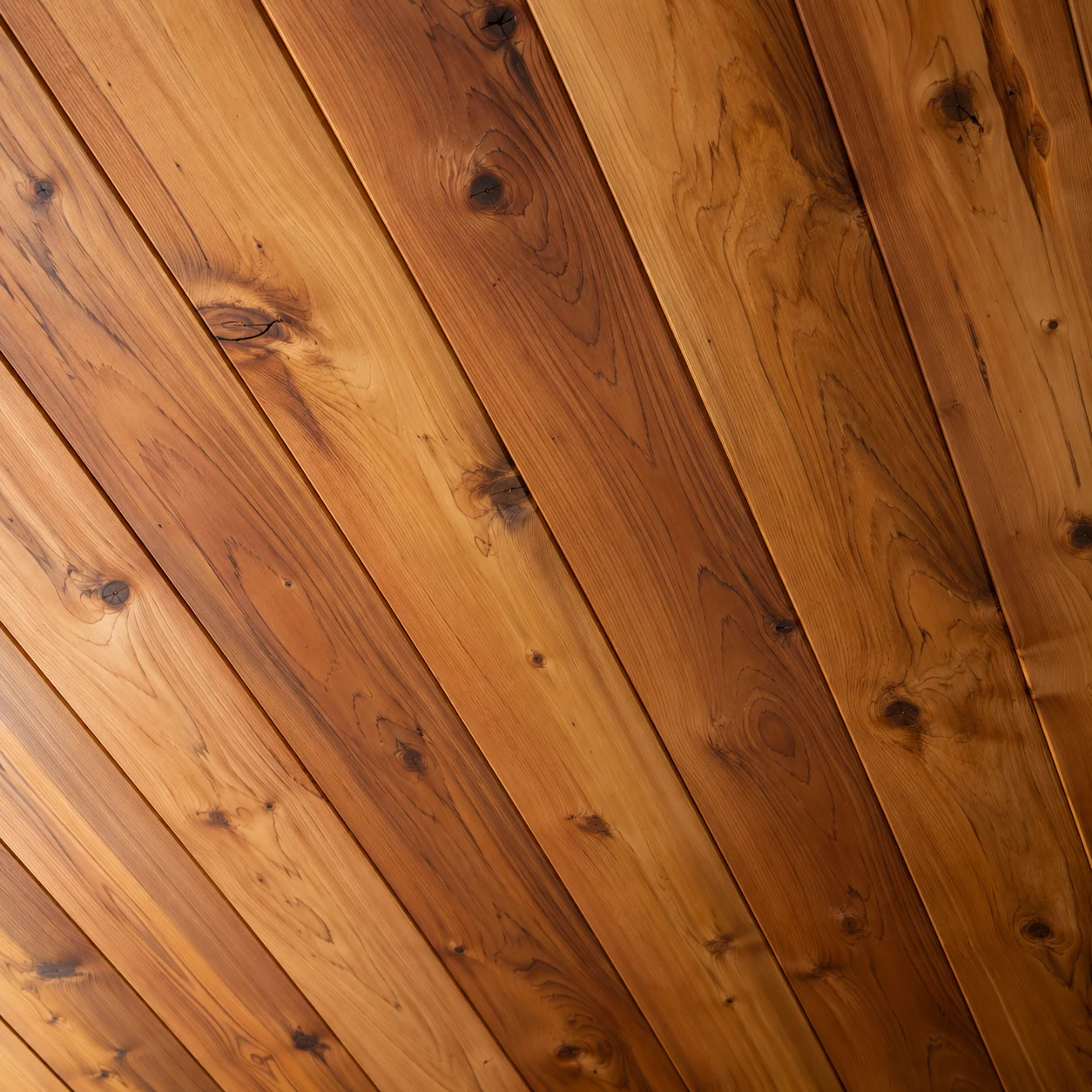 Warm cedar