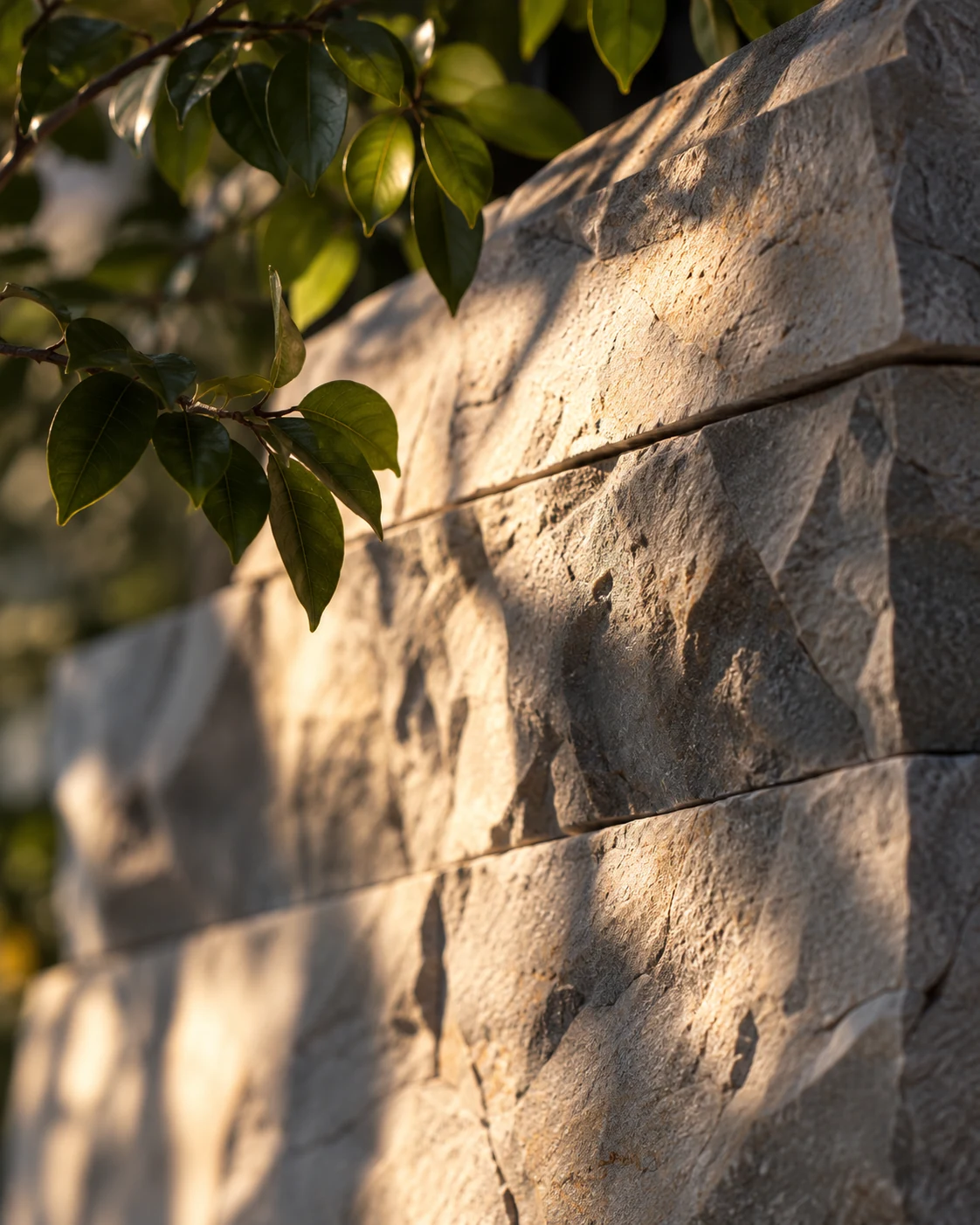 Natural stone and foliage in angled light